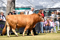 Southern Agricultural Show 2016