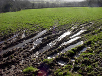 28 January 2004
