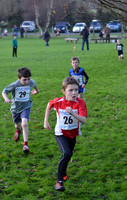 11 Cross Country Ramsey