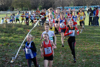 10 Liverpool Cross Country