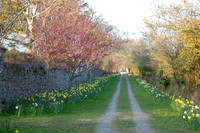 Port Grennaugh 15 04 10