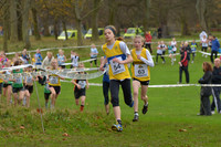 11 Liverpool Cross Country