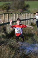 12 Cross Country Ballanette