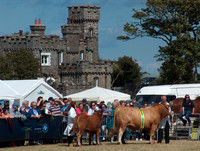 Southern Agricultural Show 2015